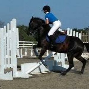 Meet your Posher, Serena